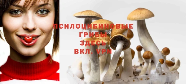 крисы Армянск