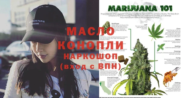 крисы Армянск