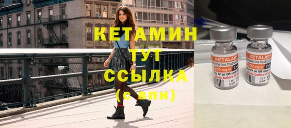крисы Армянск