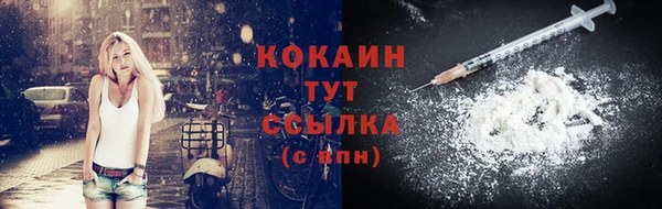 крисы Армянск