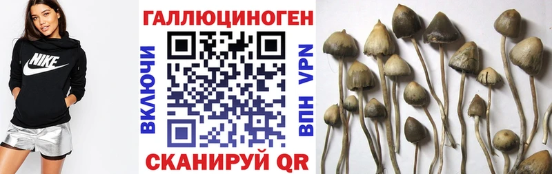 Псилоцибиновые грибы GOLDEN TEACHER  Россошь 